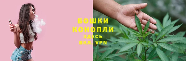 спиды Майский