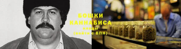 молекула духа Магас