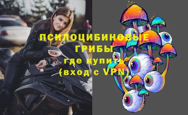 молекула духа Магас