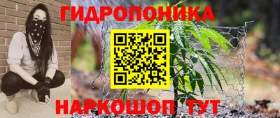 spice Мариинск