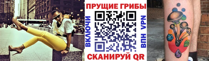 купить   shop наркотические препараты  omg ONION  Галлюциногенные грибы мухоморы  Чернушка 