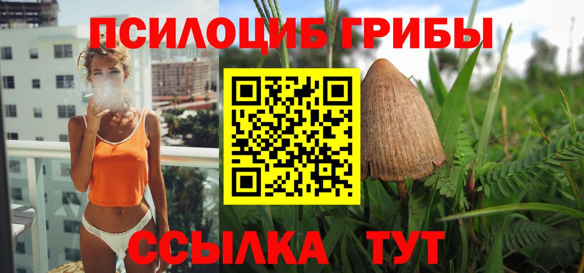 Псилоцибиновые грибы MAGIC MUSHROOMS  дарнет шоп  Галлюциногенные грибы ЛСД  Чернушка  Вход с VPN 